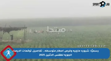 رسميًا: شبورة مائية وفرص أمطار متوسطة.. تفاصيل توقعات الأرصاد الجوية لطقس الاثنين 2025